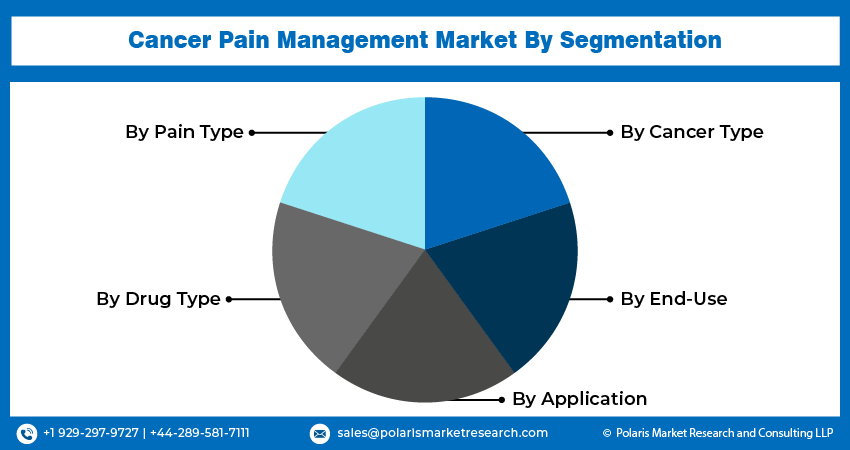 Cancer Pain Management Market seg